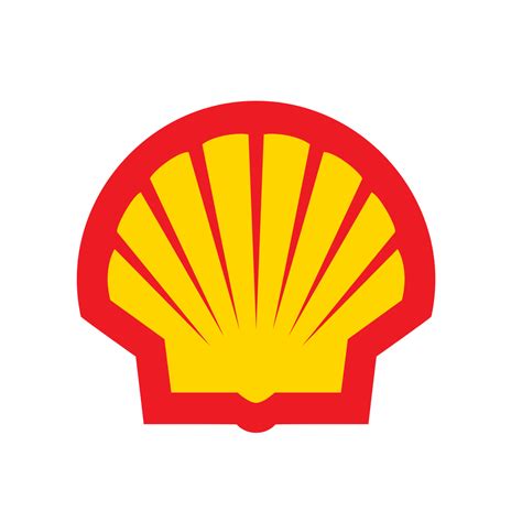 shell mommola|Shell Mommola